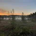 Yksityinen Jaervenrantakohde Ryhmille Sauna, Luonto Ja Oma Rauha