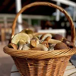 Yksityinen Jaervenrantakohde Ryhmille Sauna, Luonto Ja Oma Rauha Holiday home *