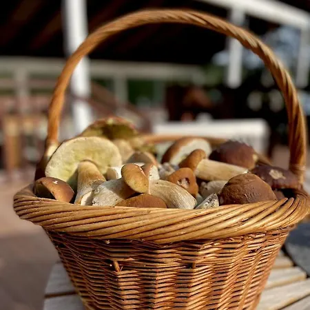 Palvia Glamping - Uniikki Lomapaikka Ryhmille Vakantiehuis *