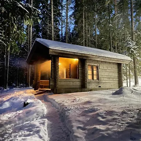 Yksityinen Jaervenrantakohde Ryhmille Sauna, Luonto Ja Oma Rauha Сasa de vacaciones *