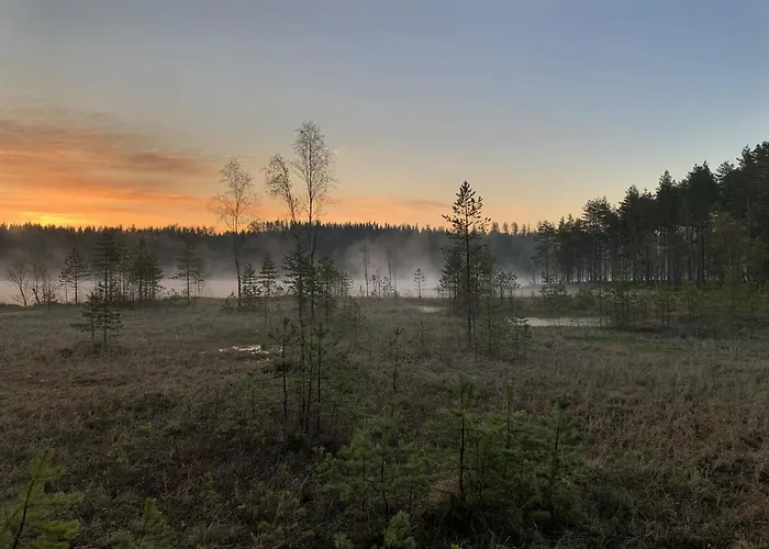 Palvia Glamping - Uniikki Lomapaikka Ryhmille