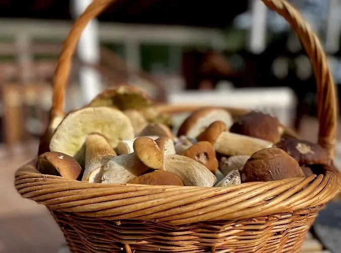 Palvia Glamping - Uniikki Lomapaikka Ryhmille Semesterbostad *